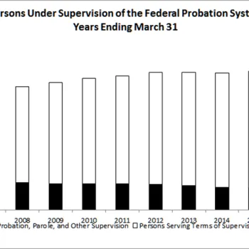 Persons Under Supervision of the Federal Probation System