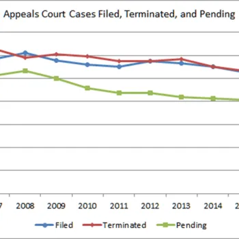 appellate