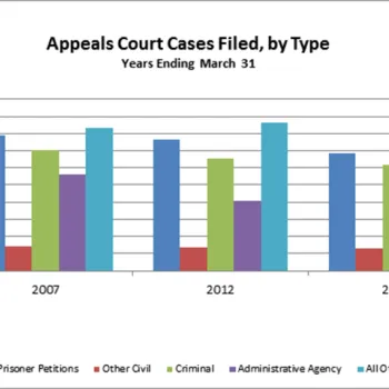 Appeals by Type