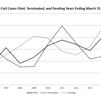 Civil Cases Filed, Terminated, and Pending