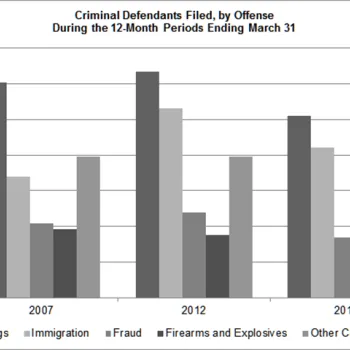 criminal filed by offense